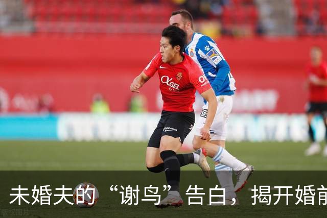 未婚夫的“谢鸟”告白，揭开婚前危机的幽默一幕